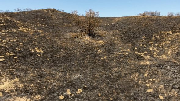 Aerial Drone Shot of Santa Clarita Burned Hills Freeway Reveal Royalty Free Stock Drone Video Footage