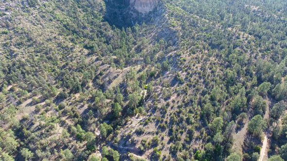 New Mexico Forest Canyon 3 Royalty Free Stock Drone Video Footage