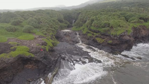 Maui Forest River Delta 1 Royalty Free Stock Drone Video Footage