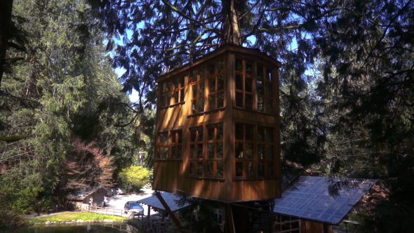 Tree House Rise Royalty Free Stock Drone Video Footage