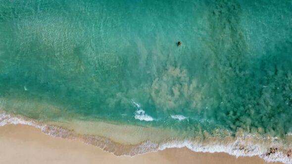 Sherwoods Beach – Rising Over Lone Swimmer Royalty Free Stock Drone Video Footage
