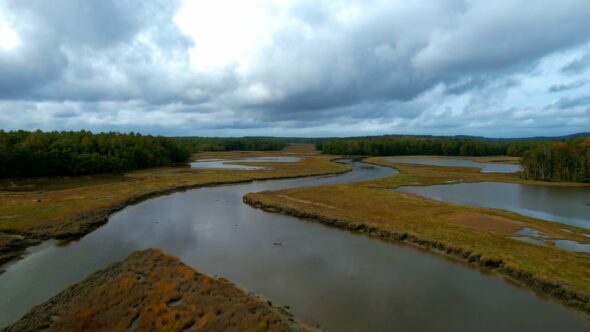 Marsh Wetlands Aerial Royalty Free Stock Drone Video Footage
