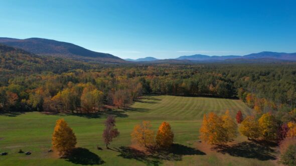 Fall Autumn Foliage Royalty Free Stock Drone Video Footage