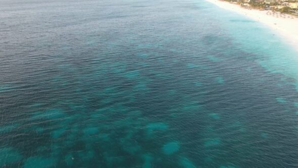 Tropical Ocean Coast Royalty Free Stock Drone Video Footage