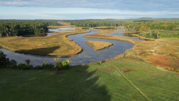 Marsh Meadow Landscape Royalty Free Stock Drone Video Footage