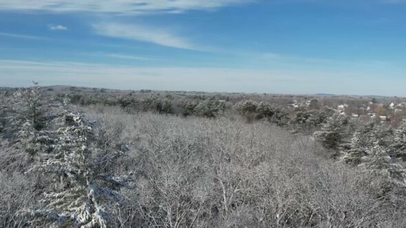 Snow Forest Aerial Royalty Free Stock Drone Video Footage