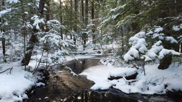 Forest Stream Snow Royalty Free Stock Drone Video Footage