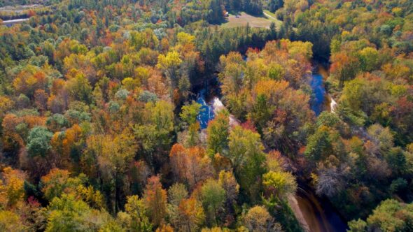 Fall Aerial Forest Royalty Free Stock Drone Video Footage